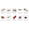 Top Reasons Smoke Shops Should Stock Animal-Themed Smoking Pipes